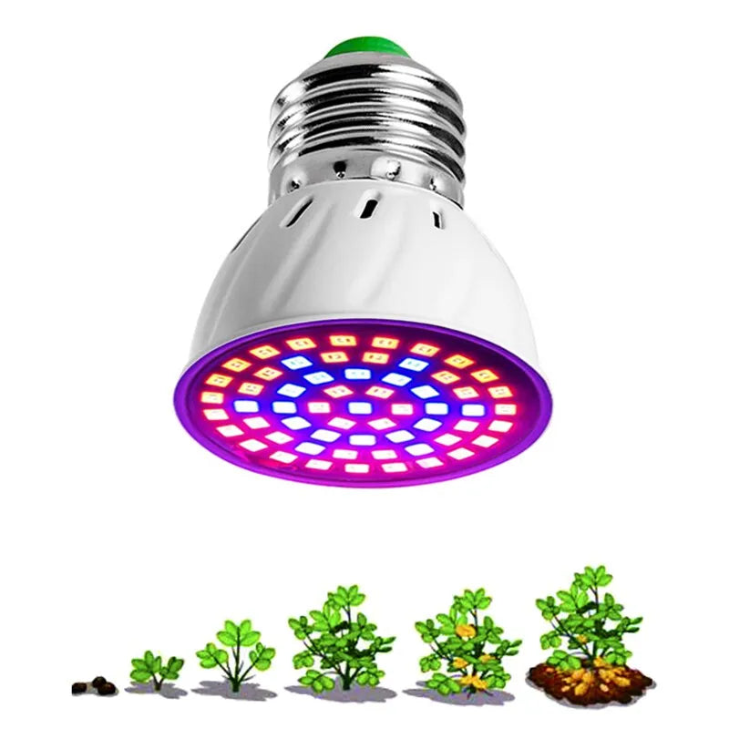 220V E27 60LEDs Plant Grow Light Phyto Lamps Led Full Spectrum Growing Bulb for Greenhouse Hydroponics Growth Fitolampy - Cashdust