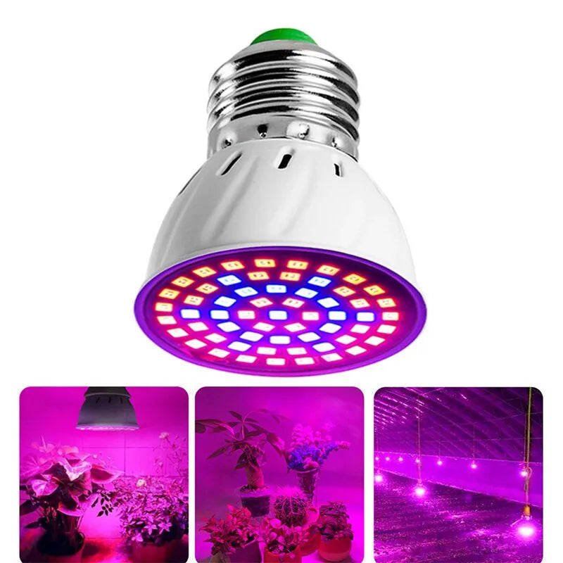 220V E27 60LEDs Plant Grow Light Phyto Lamps Led Full Spectrum Growing Bulb for Greenhouse Hydroponics Growth Fitolampy - Cashdust